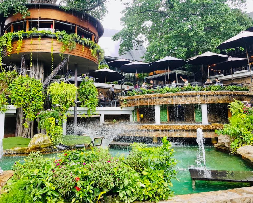 Khám phá khu vườn cà phê độc đáo