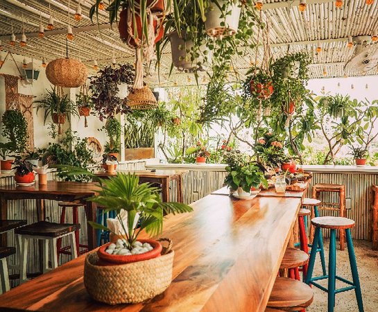 Vo Roof Garden
