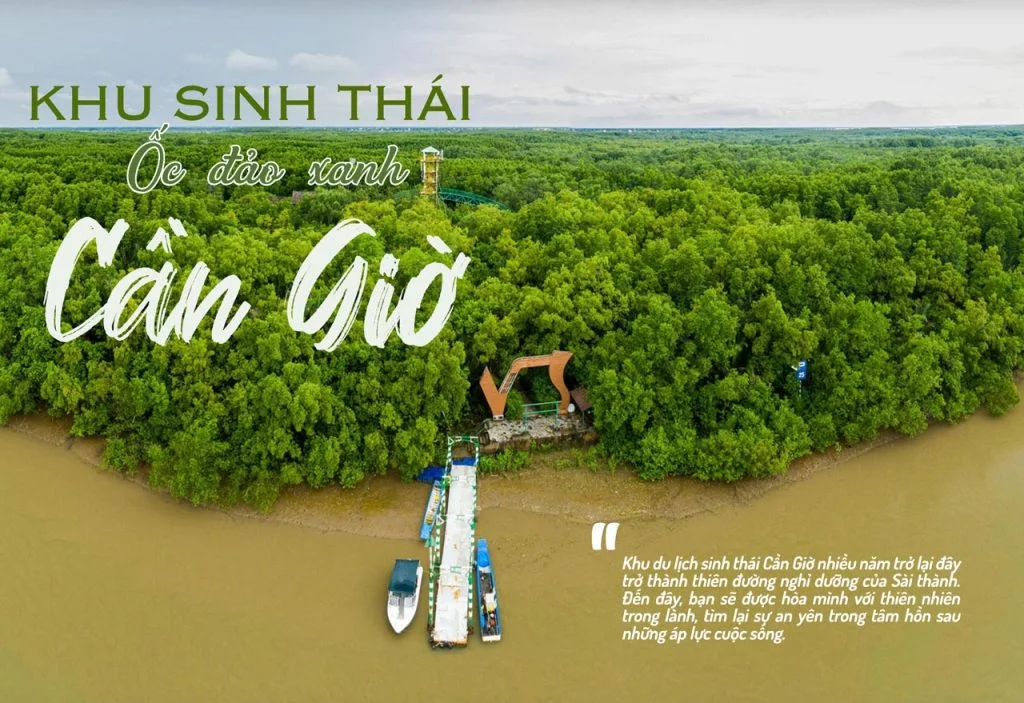 Khám phá khu du lịch sinh thái Cần Giờ - Lá phổi xanh của TP.HCM